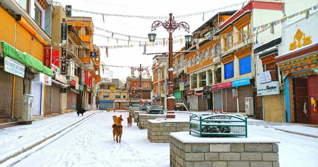 Leh Market in winter